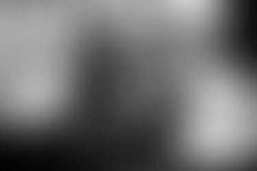 The 7th Annual Shadow Ridge Music Festival!