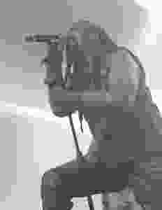 Lajon3.jpeg