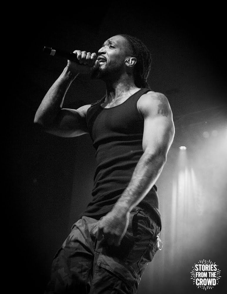 IMG_8528