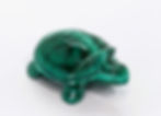 Gorgeous Malachite Turtle