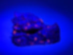 Yooperlite Dragon Head glowing under UV light