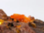 Wulfenite, Barite, and Mimetite Cluster with vibrant, fiery orange crystals
