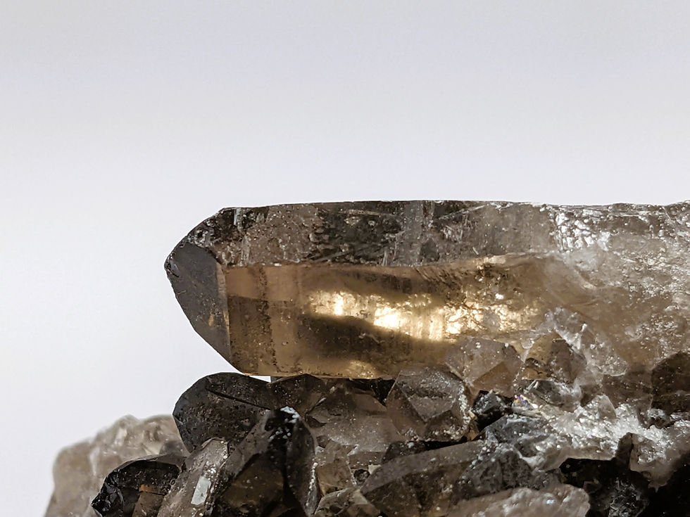 Thumbnail: Smoky Quartz crystal cluster featuring earthy brown hues and points