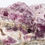 Thumbnail: Pretty in purple Tombstone Fluorite