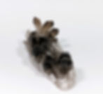 Stunning Smoky Quartz in earthy hues