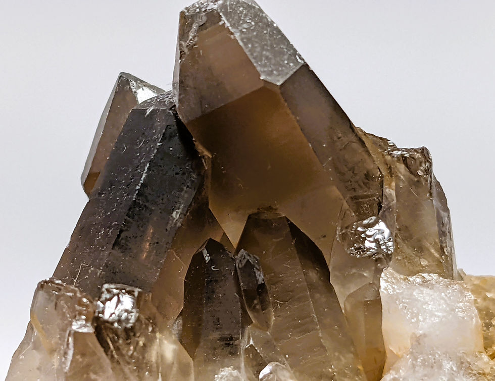 Thumbnail: Smoky Quartz cluster with deep smoky coloration and organic crystal growth