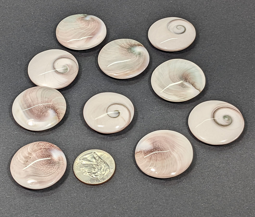 Thumbnail: Shiva Eyes in glossy pearly hues