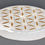 Thumbnail: Golden Flower of Life Selenite Plate