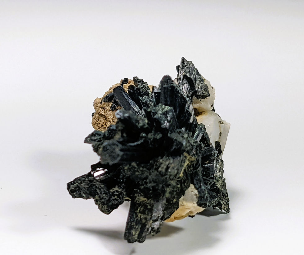 Thumbnail: rooster-like aegerine specimen will have people talking!
