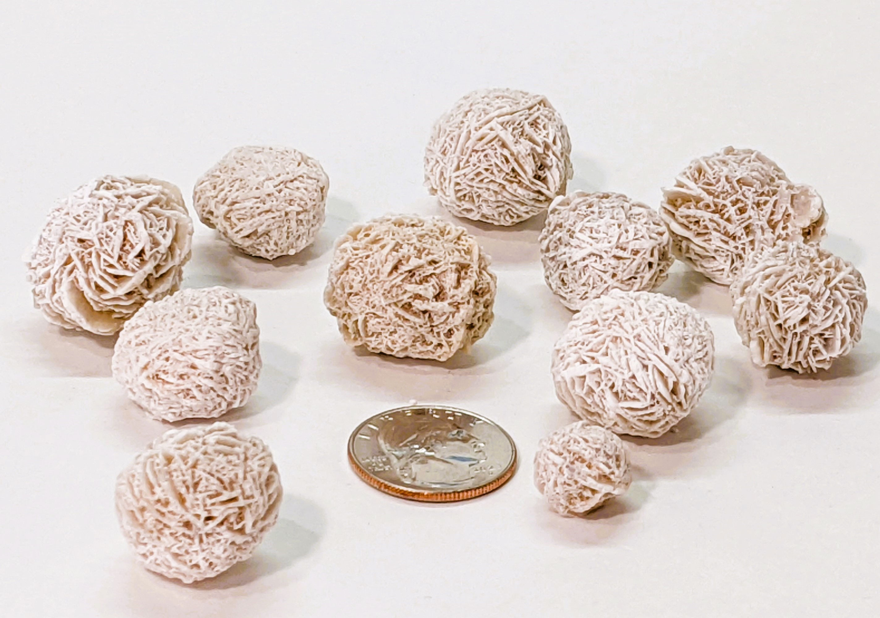 Desert Rose with intricate rosette structure, offering grounding energy and unique beauty.