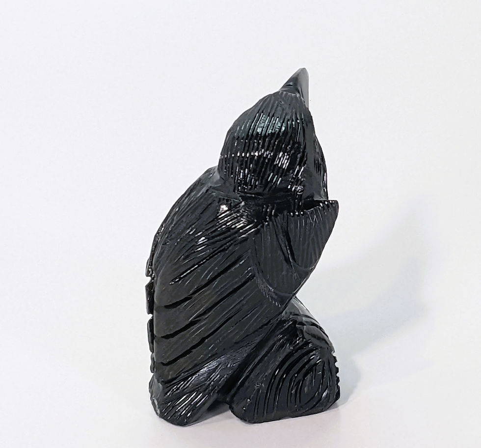 Thumbnail: Polished Black Onyx raven at jujujems.com