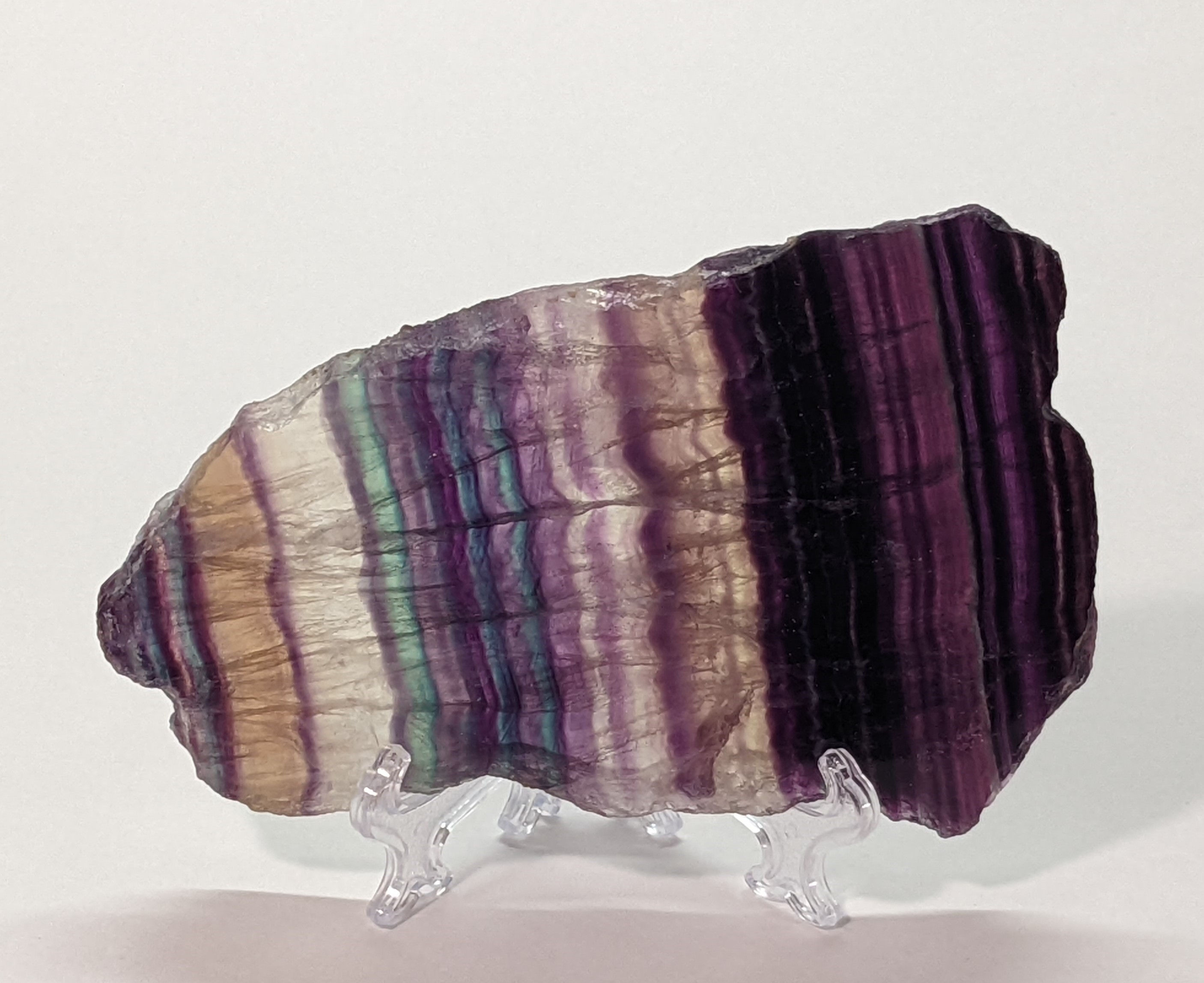 Polished Rainbow Fluorite slice with layered hues of blue, green, and purple.