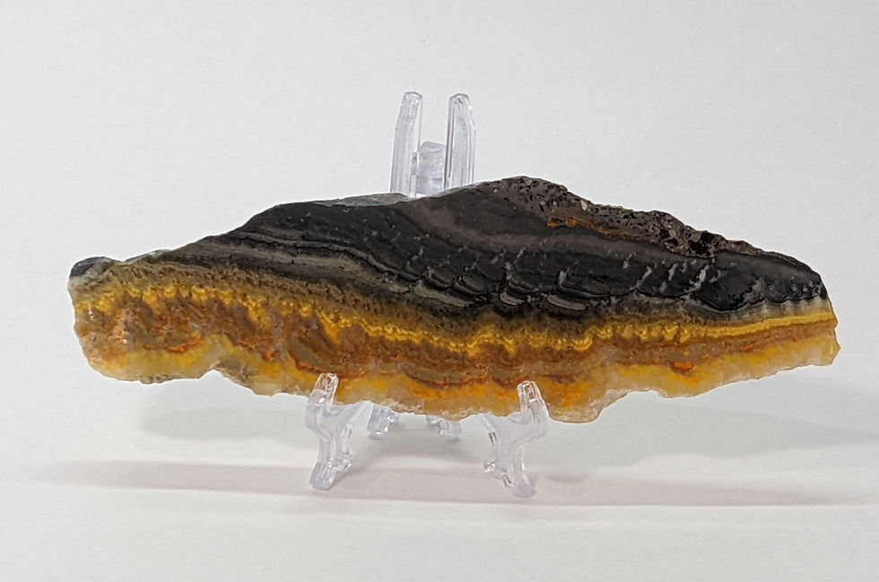 Thumbnail: Bumblebee Jasper with striking yellow, black, and orange patterns, known for its energizing and motivational properties.