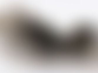 Smoky Quartz Cluster