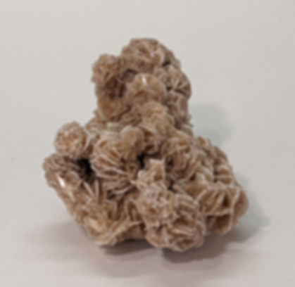 Beautiful, natural Desert Rose Cluster