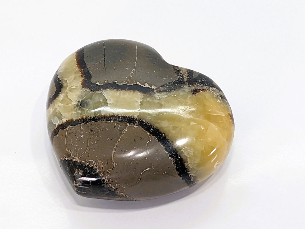 Thumbnail: Septarian Heart with fossil-like patterns of yellow, brown, and black hues, showcasing the unique composition.