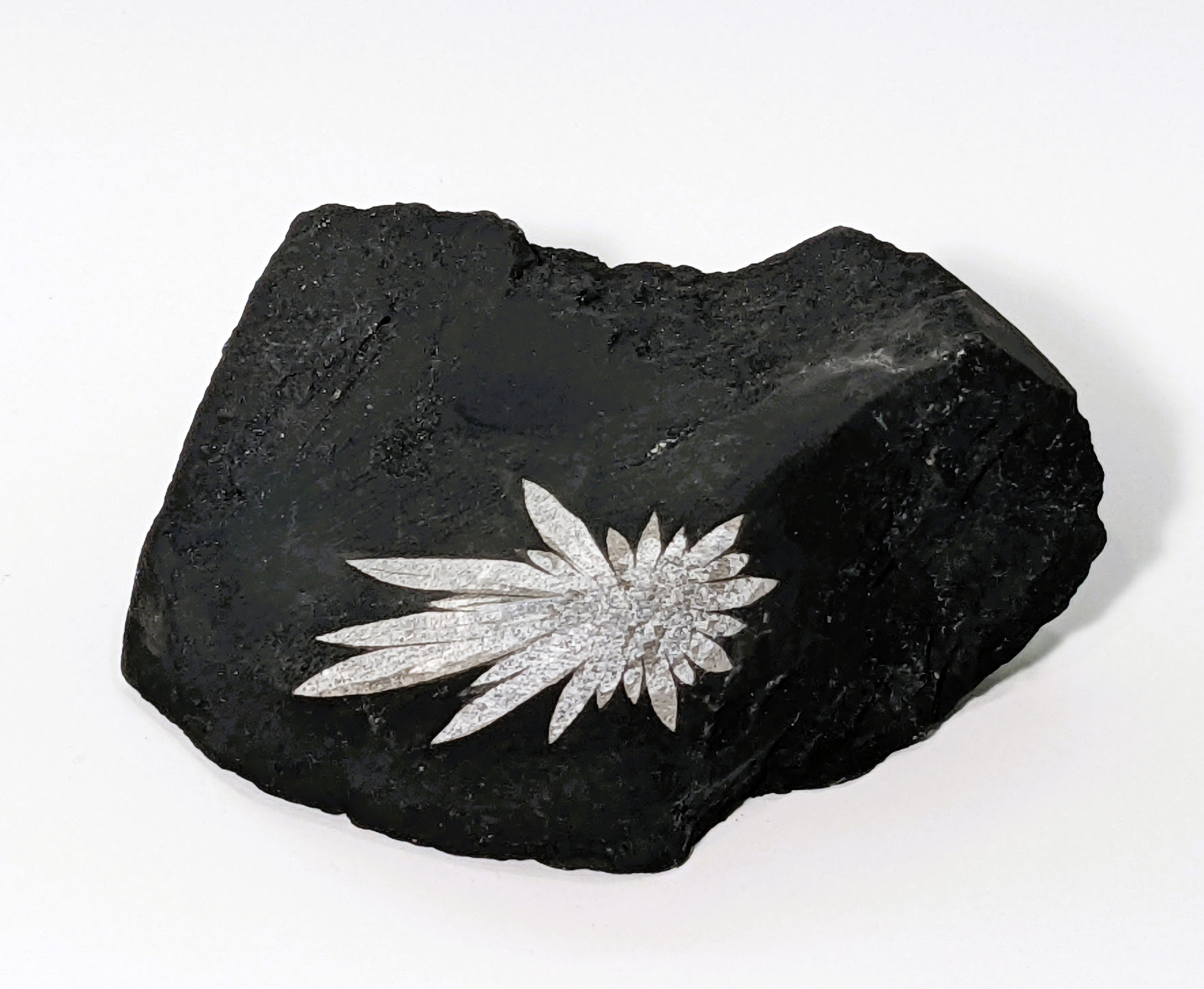 Chrysanthemum Stone with white mineral patterns formed over millions of years