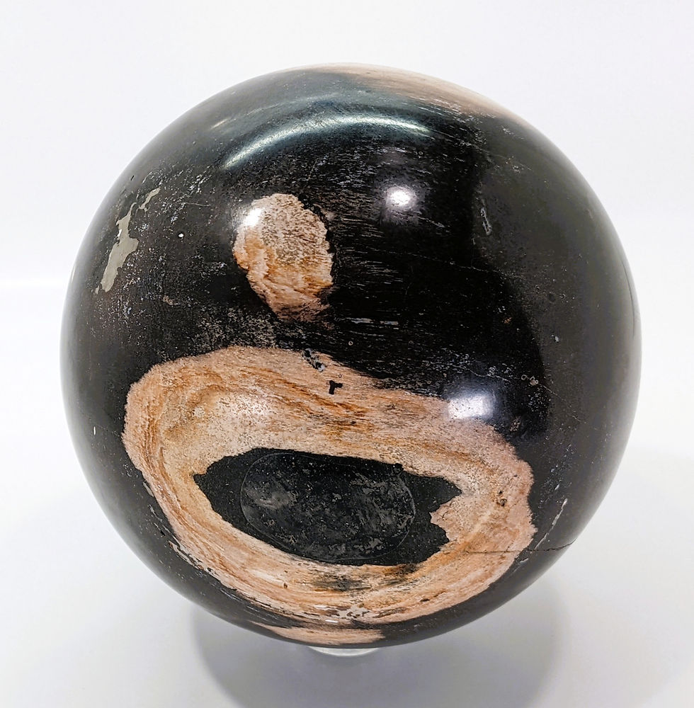 Thumbnail: Large polished Petrified Wood Sphere showing rich wood grain patterns and earthy tones, representing grounding energy, resili