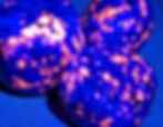 Yooperlite stone glowing under UV light with vibrant orange patterns.