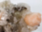 Natural Apophyllite crystals growing alongside Stilbite on matrix, showcasing a delicate, sparkling formation.