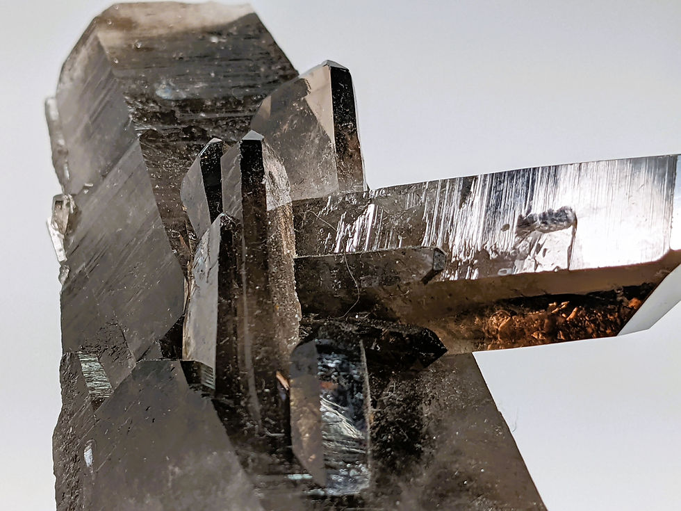 Thumbnail: Smoky Quartz crystal specimen with incredible shaping