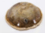 Thumbnail: Petrified Palm Root Bowl from Indonesia.
