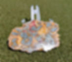 plume plume marcasite in agate slice with metallic formations