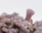 Interesting and intriguing grape agate specimen