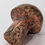 Thumbnail: Pretty Feldspar mushroom for healing and intuition