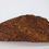 Thumbnail: Script Stone with intricate fossil patterns symbolizing history and wisdom