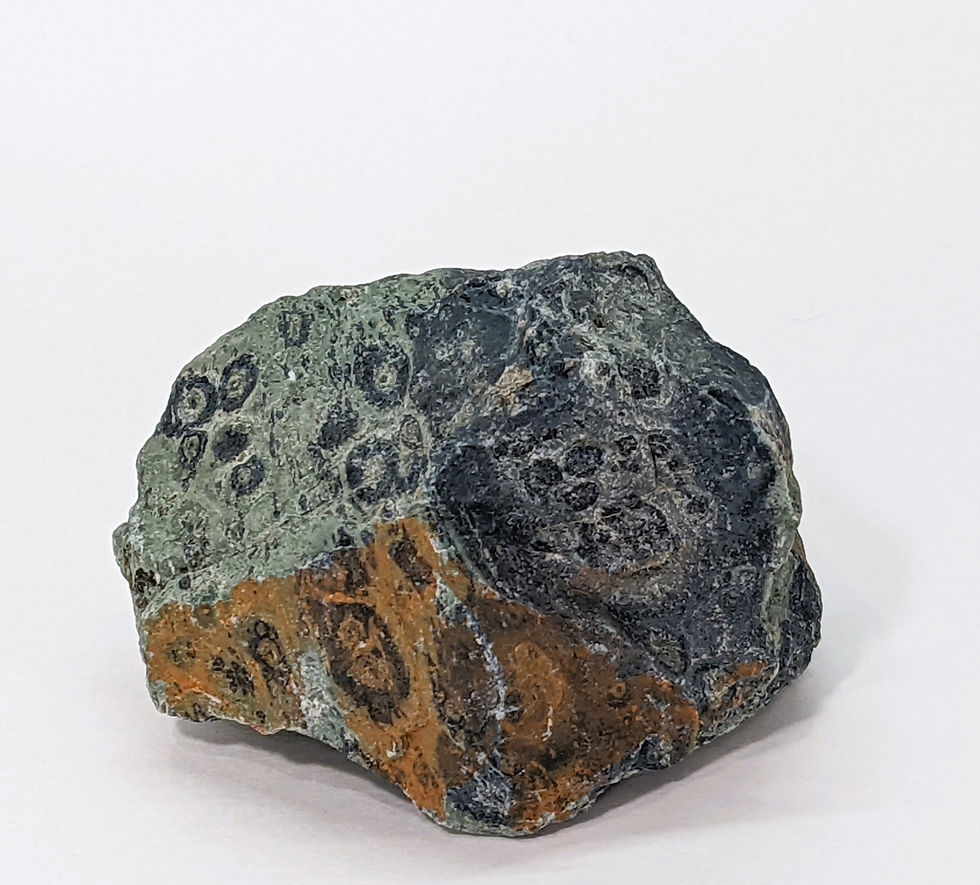 Thumbnail: Raw Kambaba Jasper specimen with swirling green and black patterns