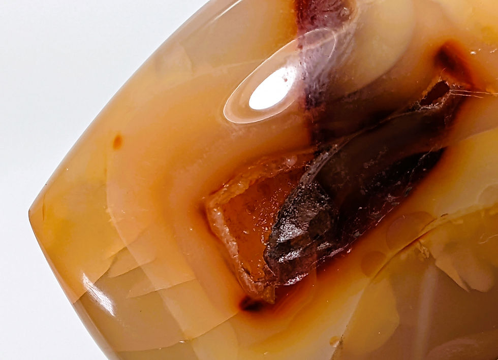 Thumbnail: You're My Rock Bundle Shungite, Carnelian, Selenite trio. Makes a great gift