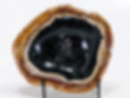 Petrified Palm Root Bowl from Indonesia in banded tones