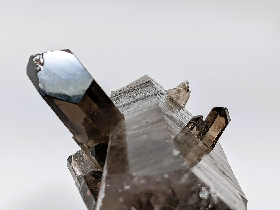 Thumbnail: Smoky Quartz crystal specimen with incredible shaping
