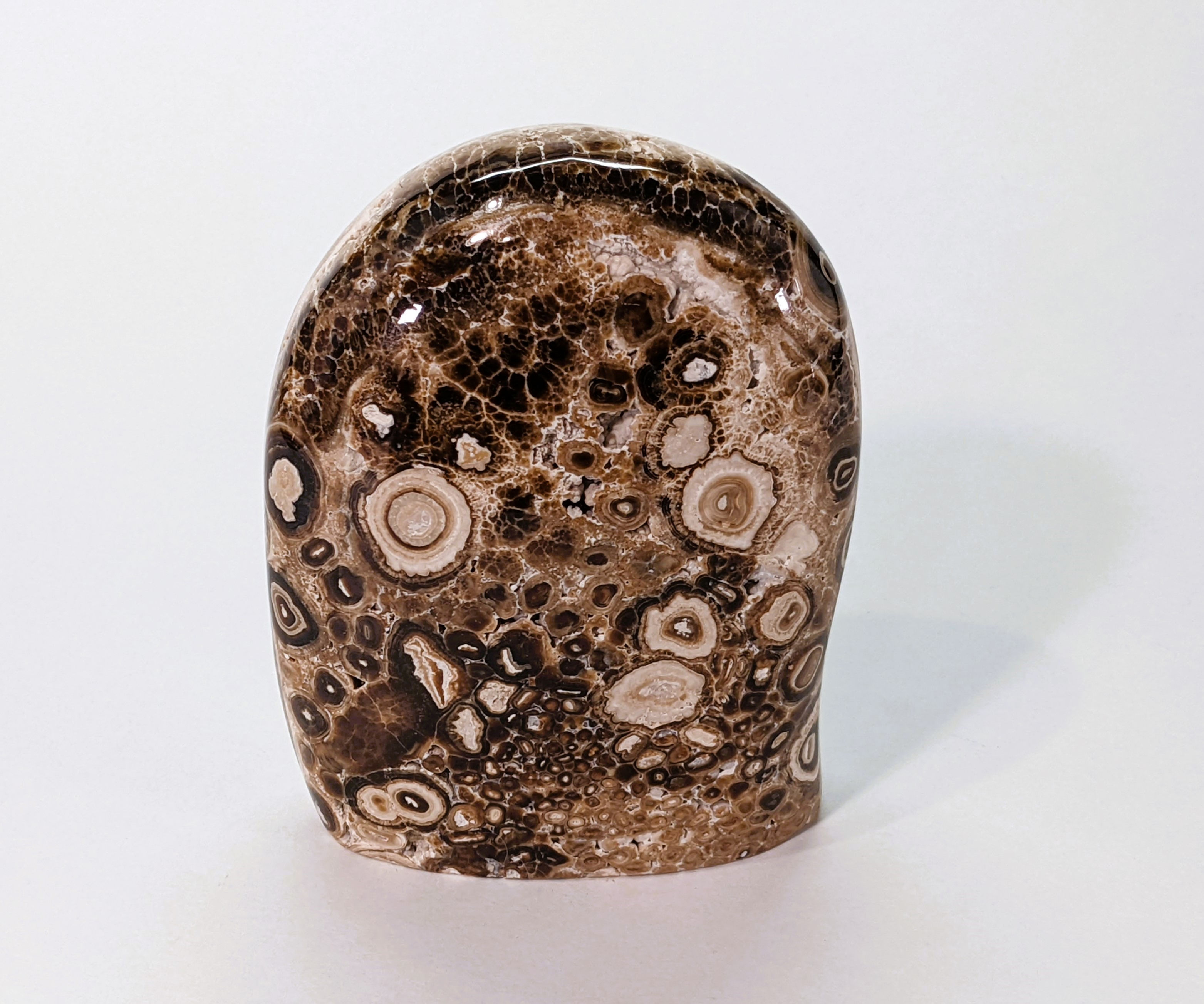 Polka dots are all over this Chocolate Calcite Freeform!