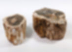 millions-of-years-old-wood_petrified-slabs_fossilized_