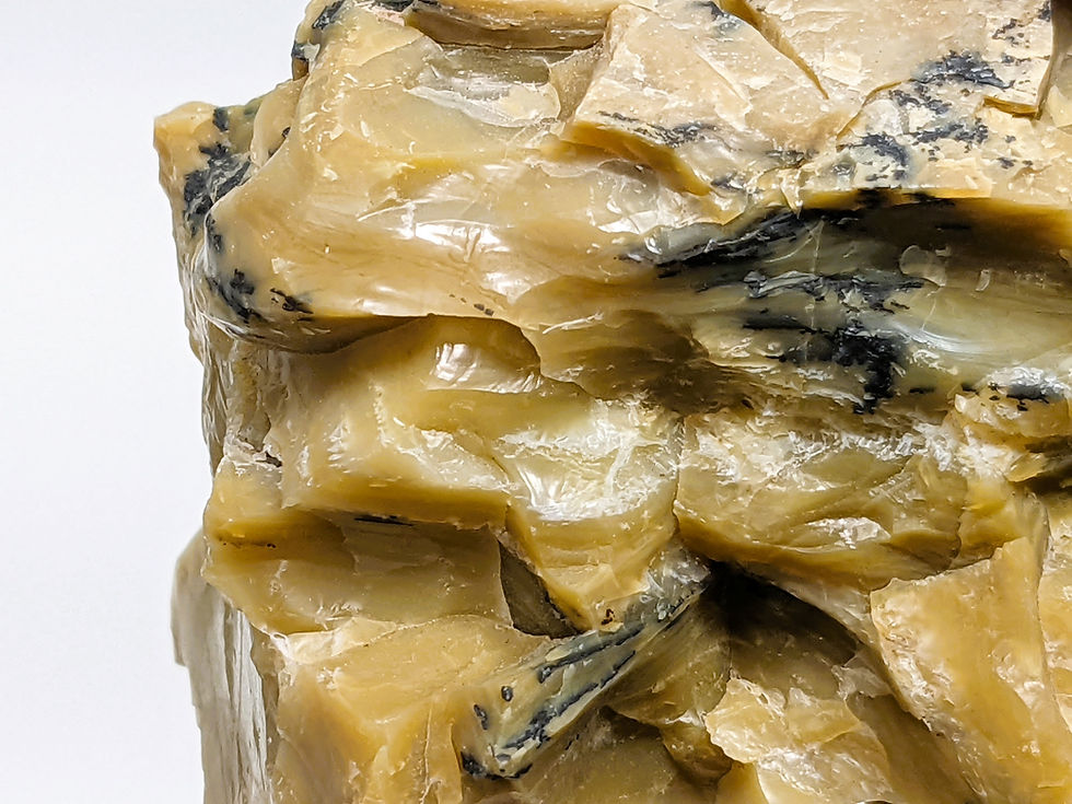 Thumbnail: Natural Opalized Petrified Wood specimen featuring layered textures and subtle color variations.