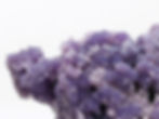 unique Grape Agate purple botryoidal stone