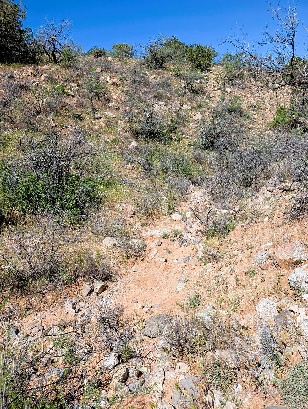 Ah, nothing like another rocky path! - At Camp Verde, AZ