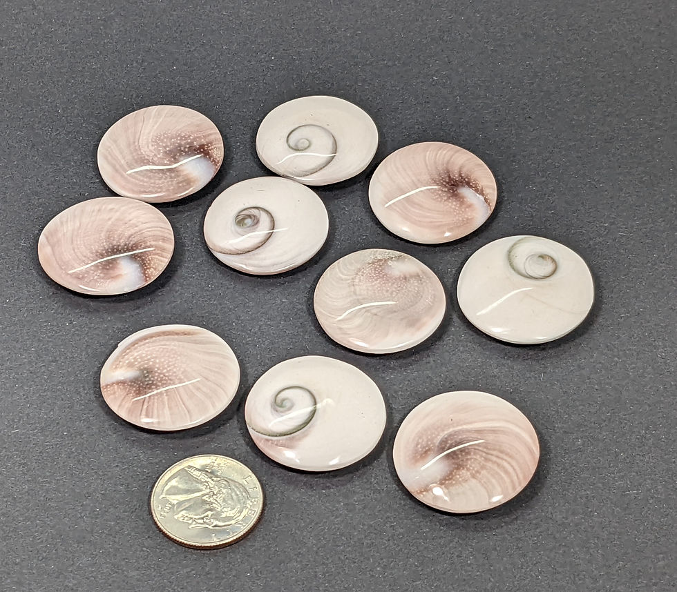 Thumbnail: Shiva Eyes in glossy pearly hues