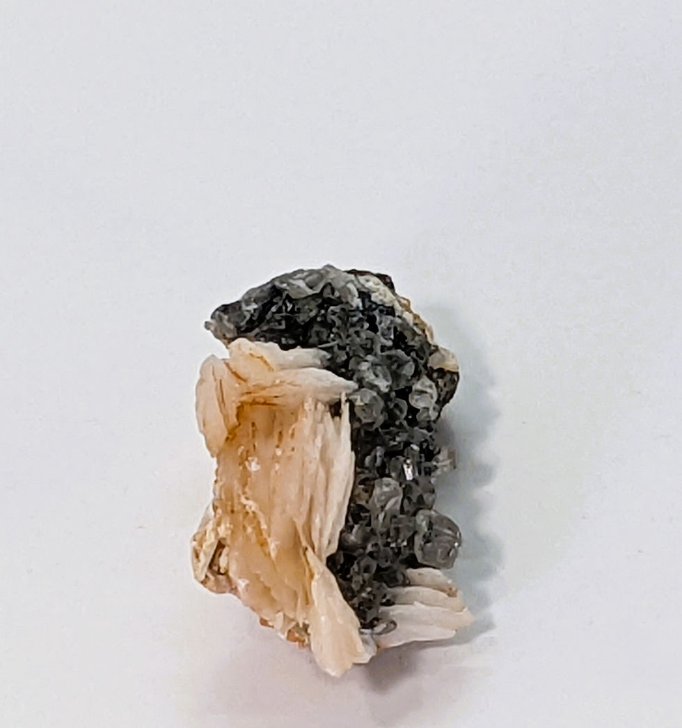 Thumbnail: Barite rosettes with Skutterudite, featuring unique crystal formations for empowerment. At jujujems.
