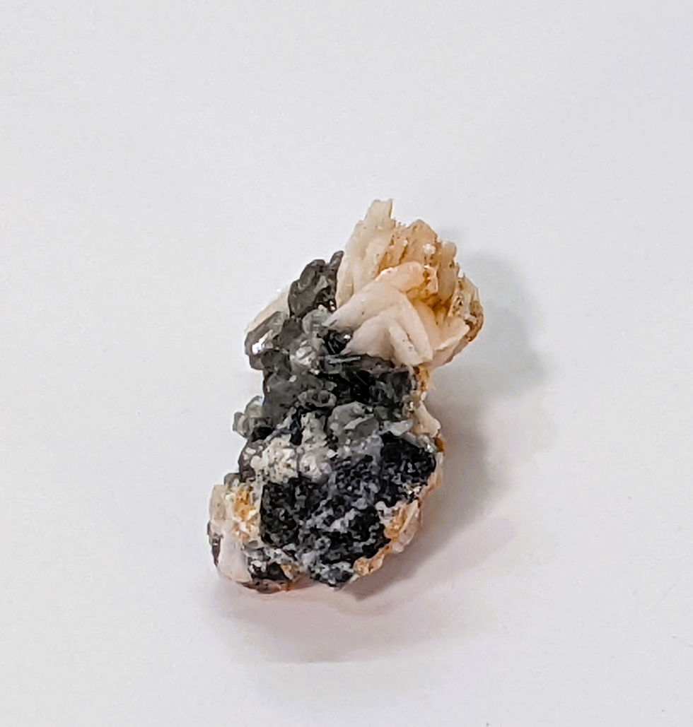 Barite rosettes with Skutterudite, featuring unique crystal formations for empowerment. At jujujems.