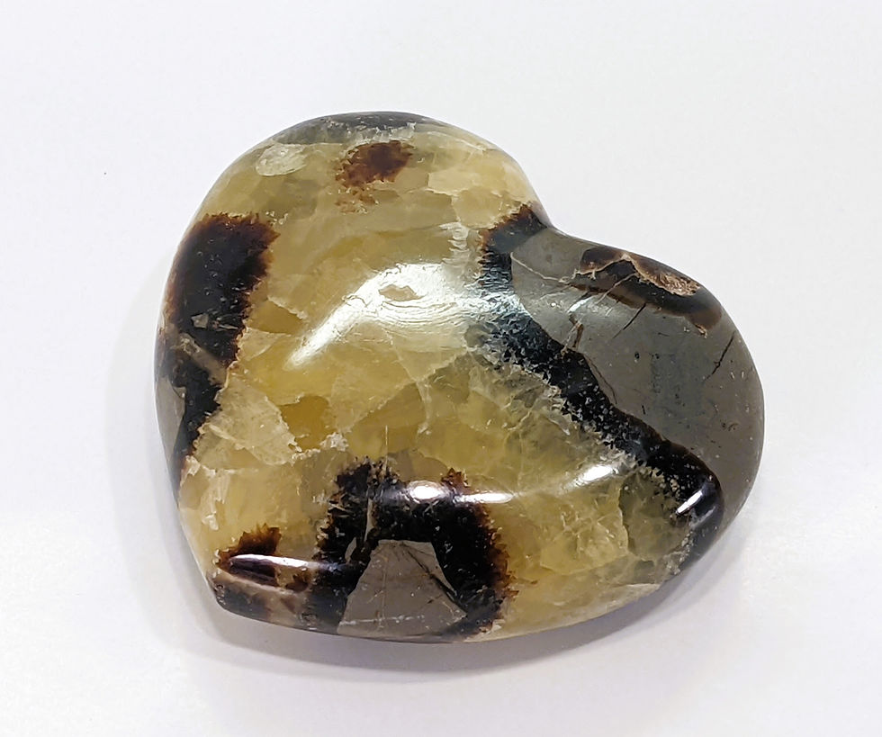 Thumbnail: Septarian Nodule Heart featuring striking calcite, aragonite, and limestone patterns that resemble dragon scales.