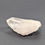 Thumbnail: Raw Lemurian Quartz piece said to hold messages from Lemuria