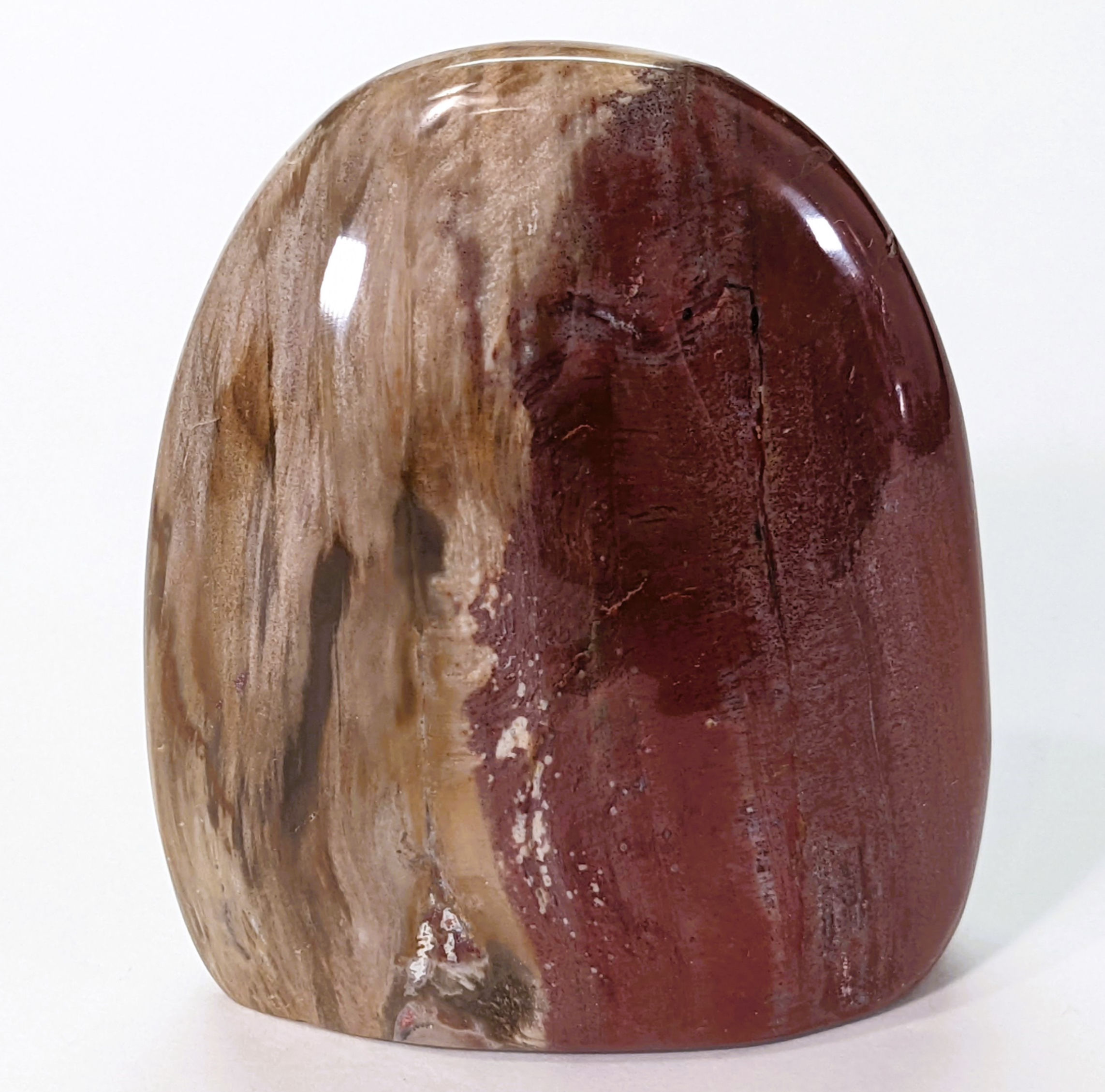 Petrified Wood Freeform