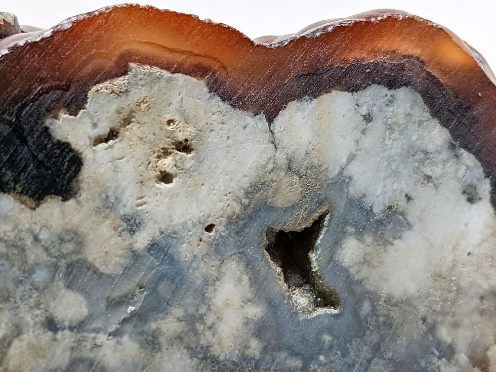 Thumbnail: Sliced Fire Agate showing colorful Agate within natural matrix