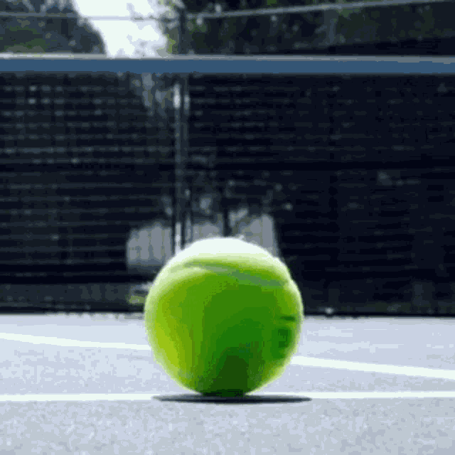 tennisball02.gif