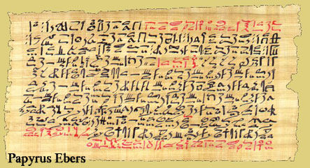Papyrus