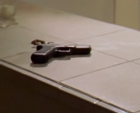 Gun on Counter.png