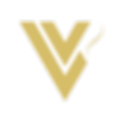 Veloce Spine & Sport logo